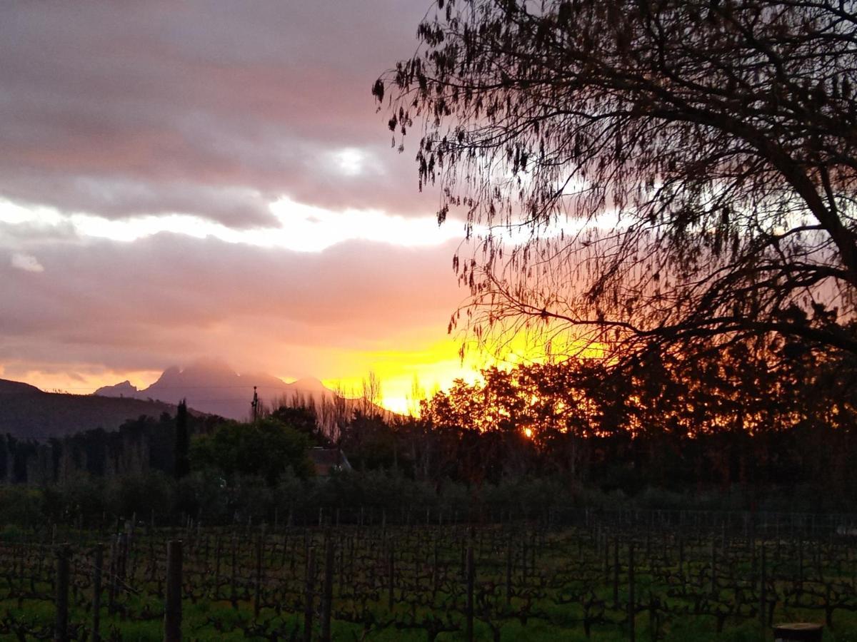 Olive And Vine Farm Cottage Franschhoek Bagian luar foto