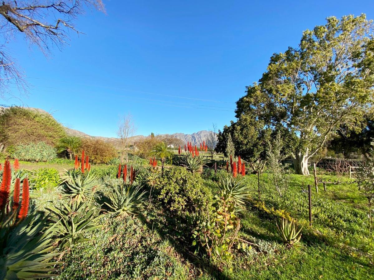 Olive And Vine Farm Cottage Franschhoek Bagian luar foto
