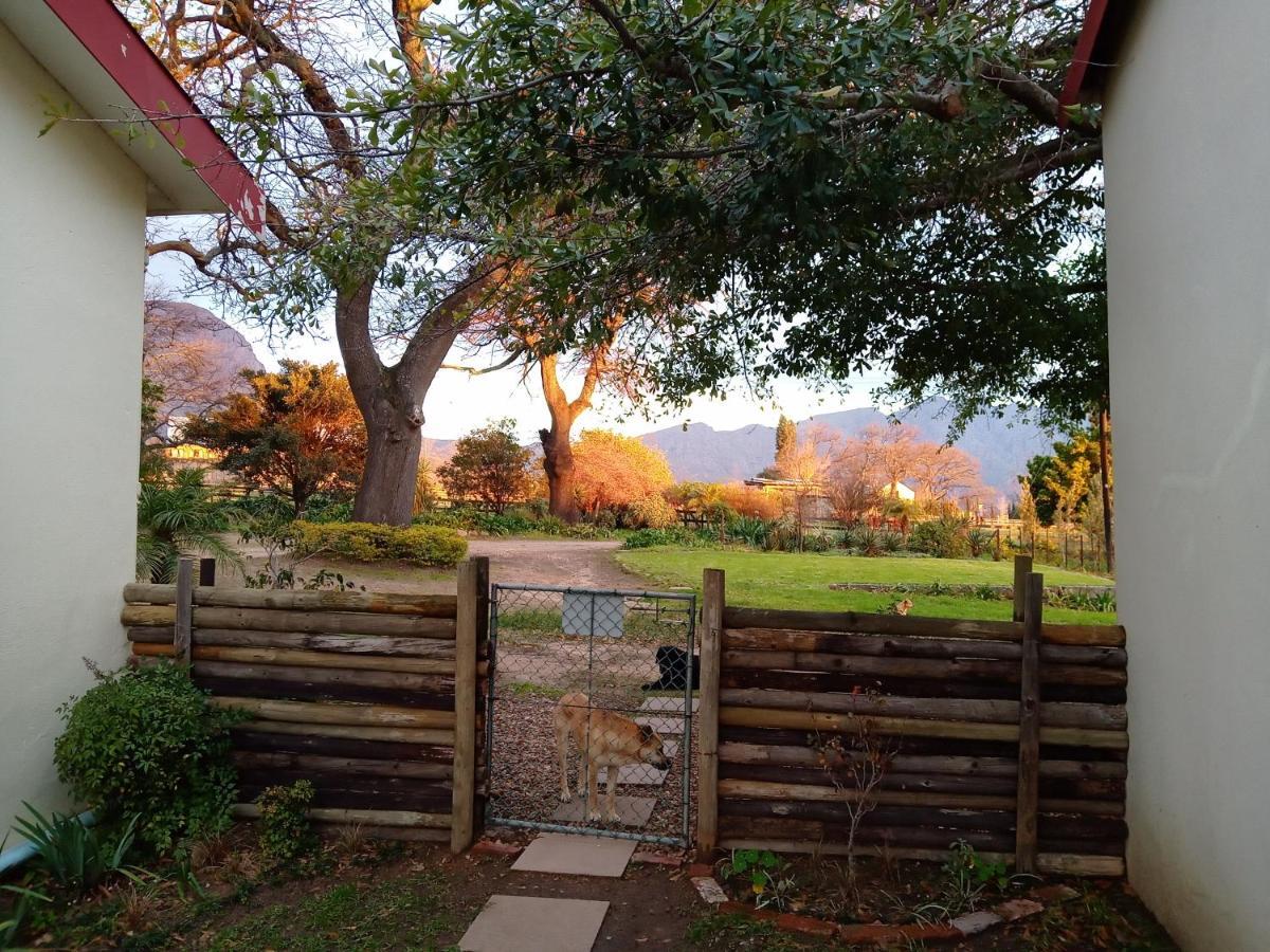 Olive And Vine Farm Cottage Franschhoek Bagian luar foto