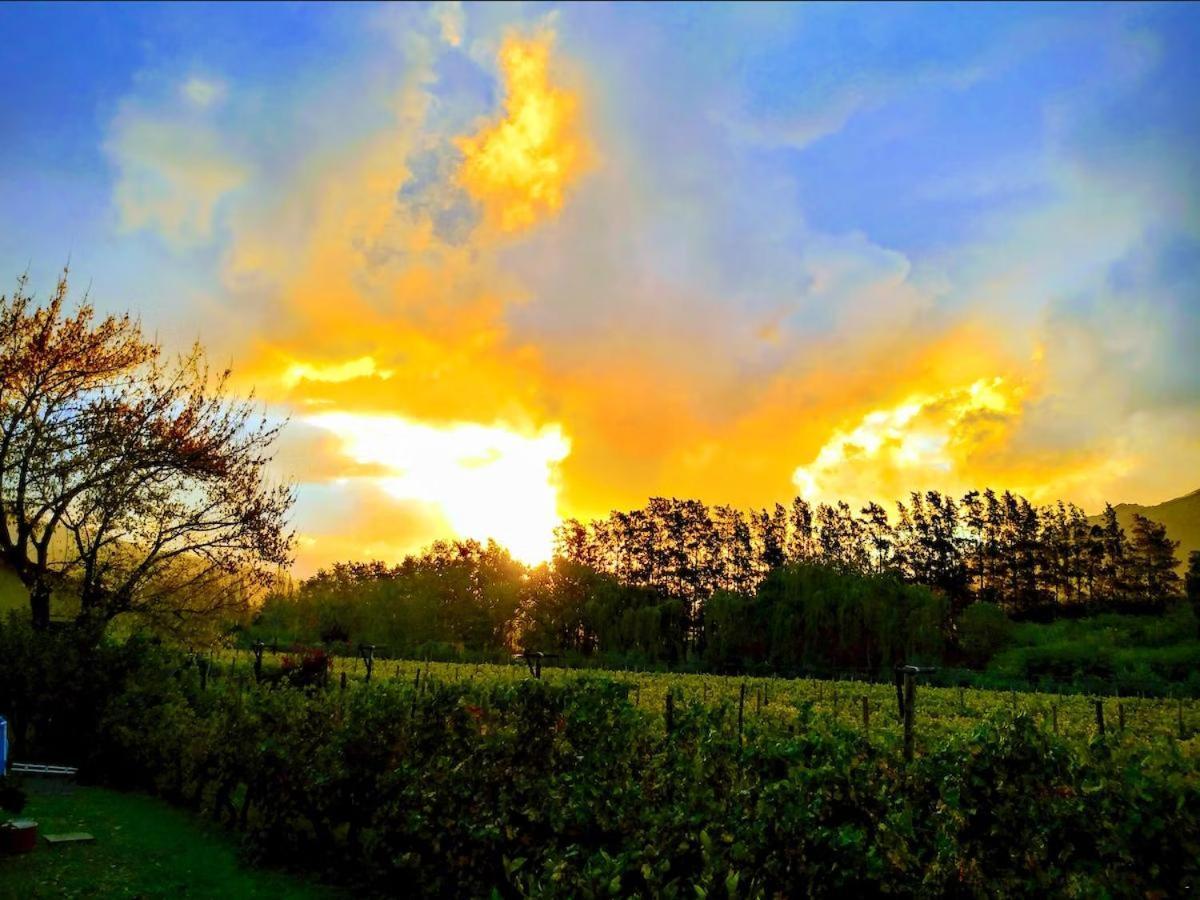 Olive And Vine Farm Cottage Franschhoek Bagian luar foto