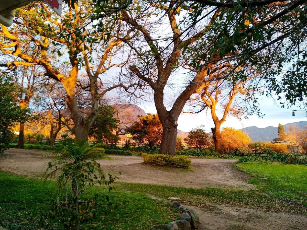 Olive And Vine Farm Cottage Franschhoek Bagian luar foto