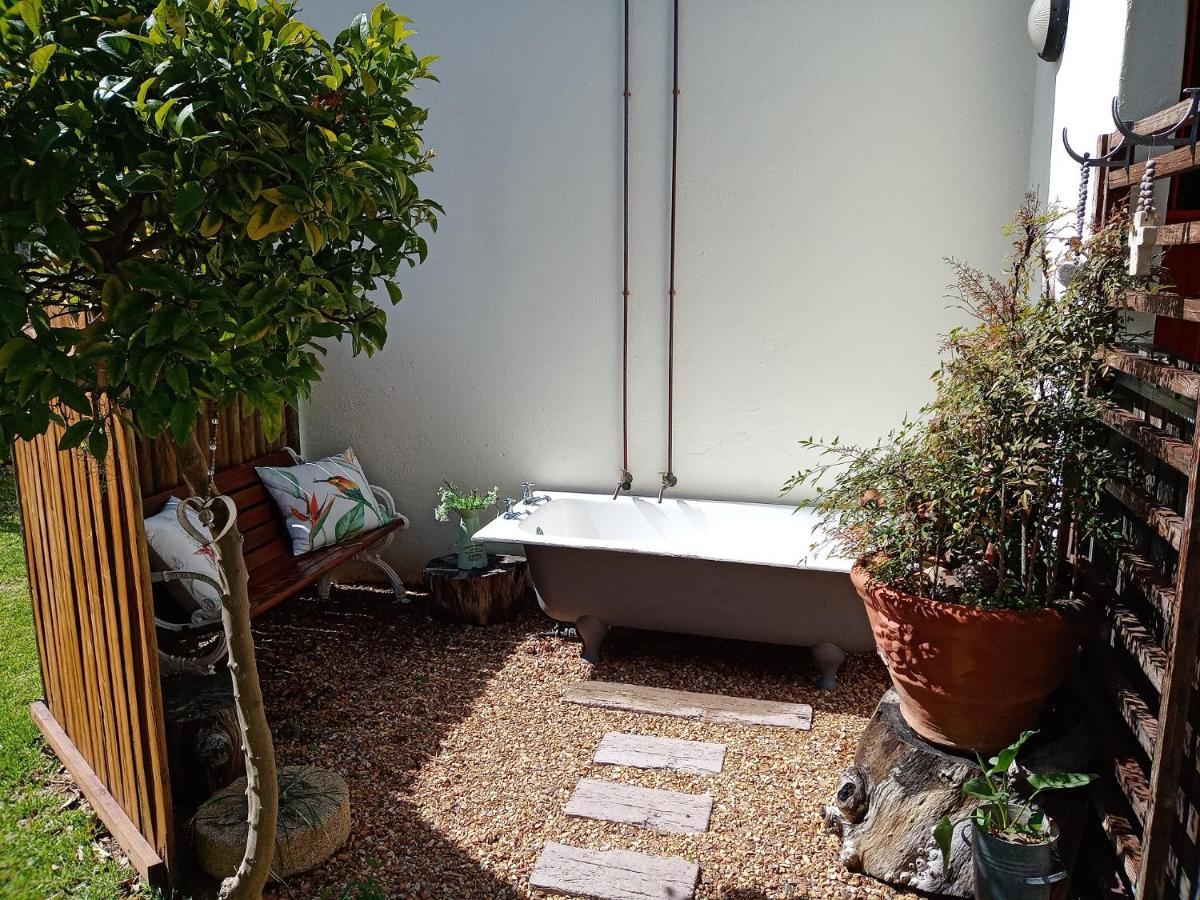 Olive And Vine Farm Cottage Franschhoek Bagian luar foto