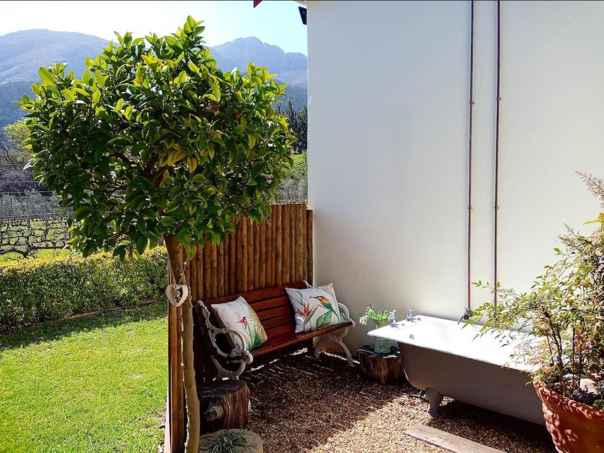 Olive And Vine Farm Cottage Franschhoek Ruang foto